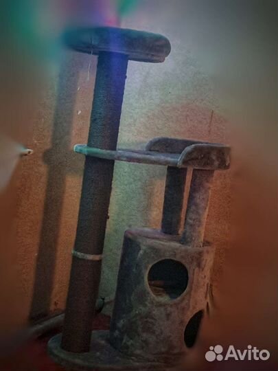 Кошачий домик 4 в 1