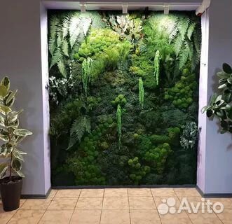 Стена из мха