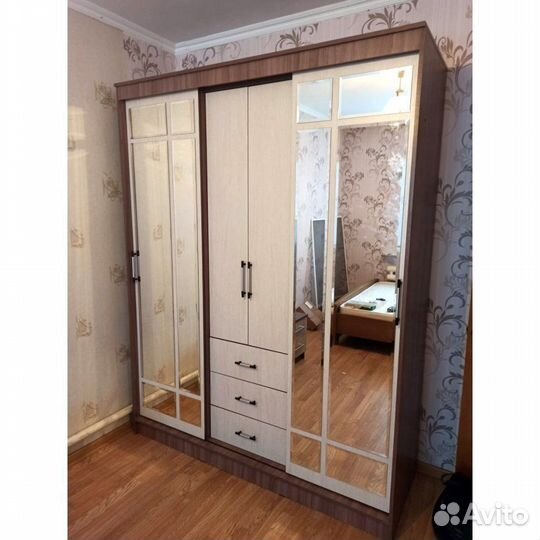 Шкаф-купе Маэстро 170х220х59