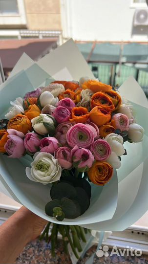 Таролог, вопросы