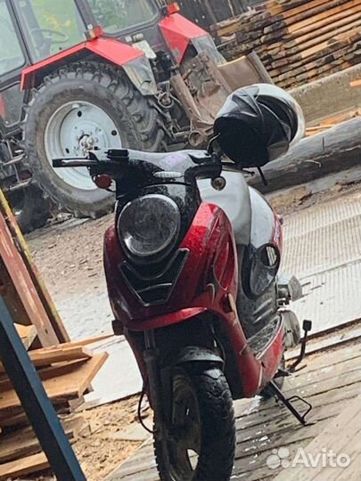 Racer sagita