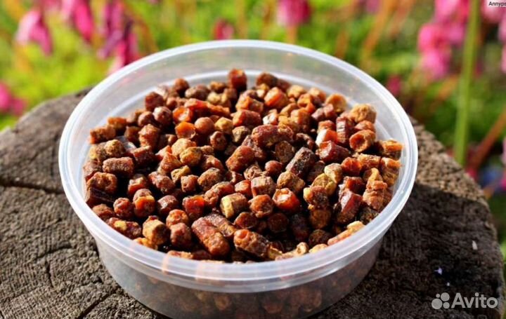 Перга пчелиная