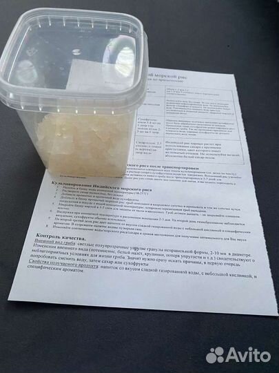 Индийский морской рис, кефирный гриб, винный гриб