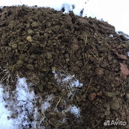 Конский навоз, перегной самовывозом