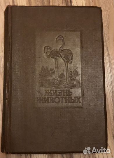 Жизнь животных по Брему 4 том 1937; 1,2,5 томы