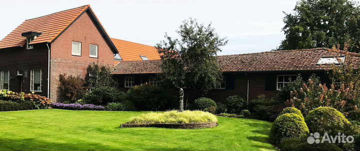 Рулонный газон напрямую от производителя