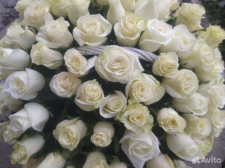 Корзина белых роз, 101 роза в корзине