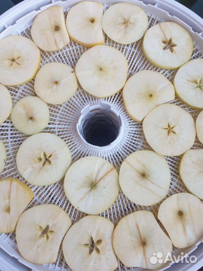 Сушеные яблоки