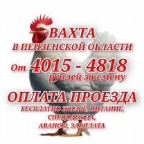 Вахта в Пензе Фасовщик/ца проезд жилье еда, Ветлужский