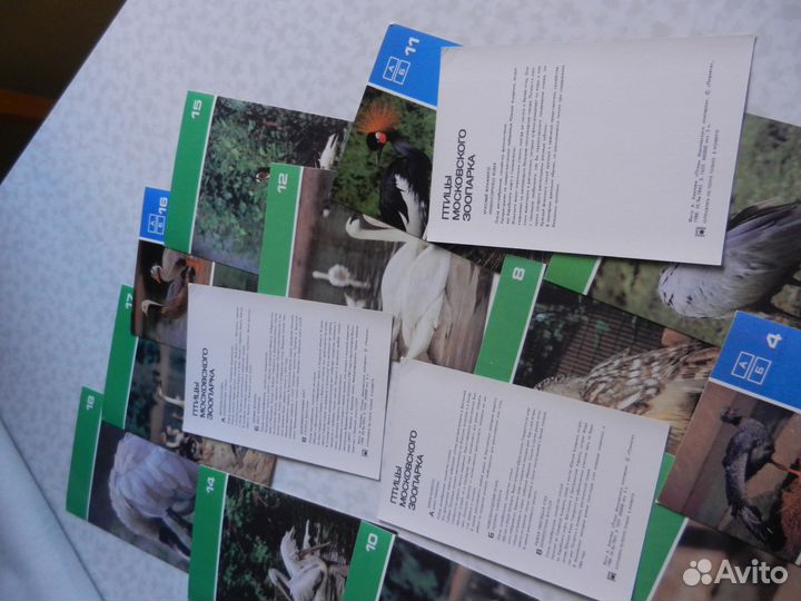 Набор открыток Птицы московского зоопарка 1988 г