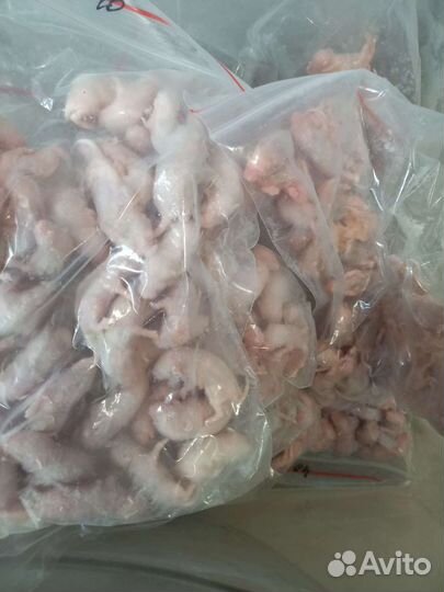 Кормовые мыши