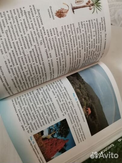 Учебники 6 и 7й класс