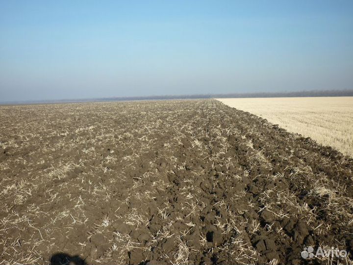 Глубокорыхлитель Омский Экспериментальный Завод ПРП-5.6 Титан, 2024