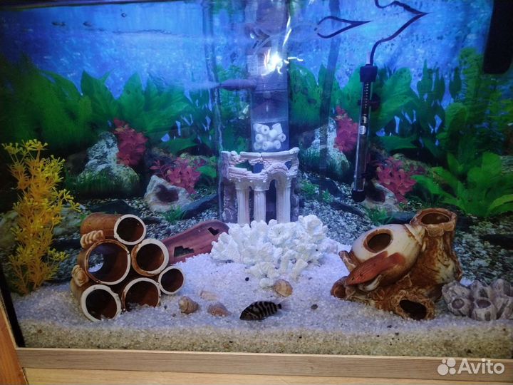 Аквариум 180 л