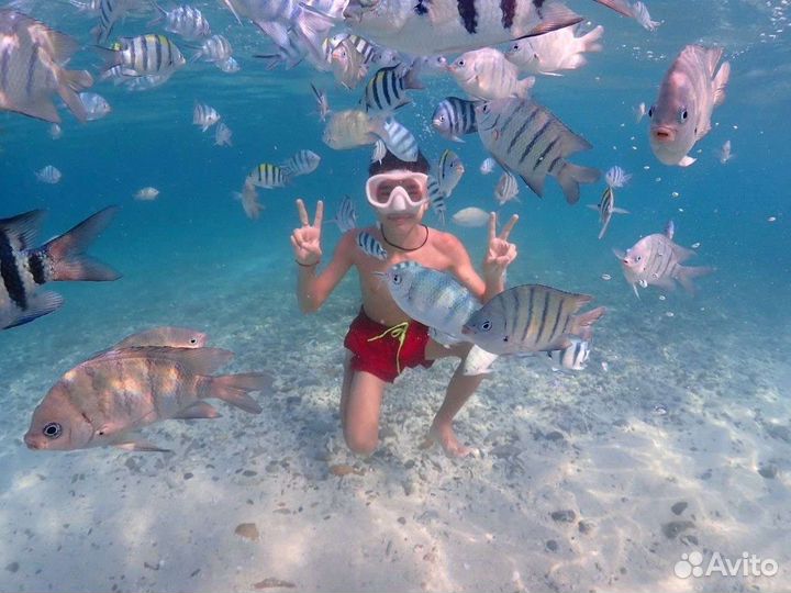 Подводная Одиссей, Паттайя, Таиланд