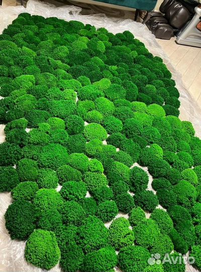 Ягель Королевский премиум moss