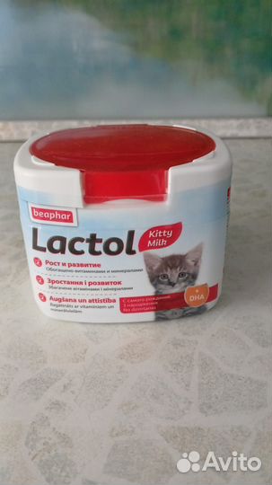 Заменитель кошачьего молока