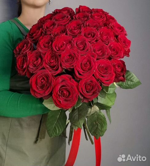 Роза Голландия 33 штуки