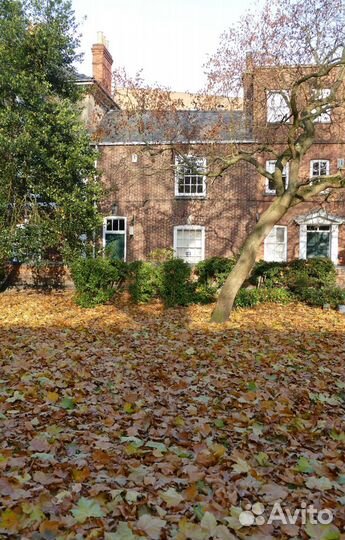 Английский/ Немецкий/Испанский языки (online)