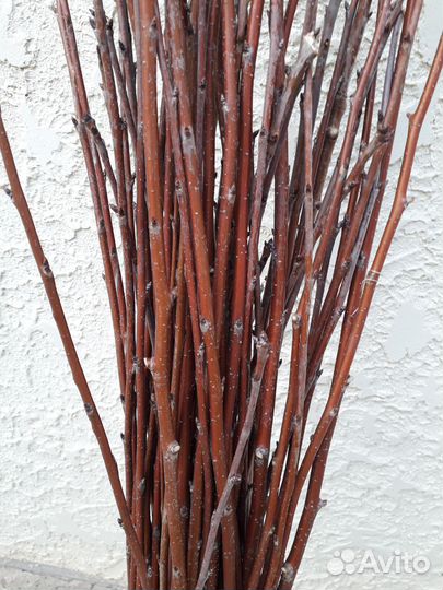 Веточки вишни для рукоделия