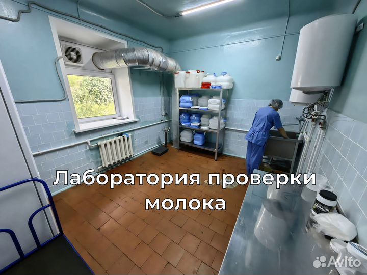 Прибыльная Сыроварня с интернет магазином