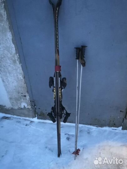 Горные лыжи