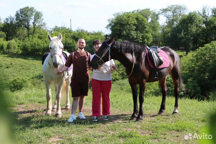Конные прогулки по роще, тренировки, фото