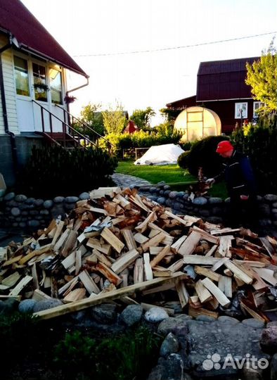 Дрова Береза