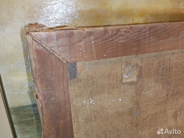 Заливной цветущий вересковый луг.Картина.Германия