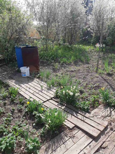 Дача 96 м² на участке 4,8 сот.