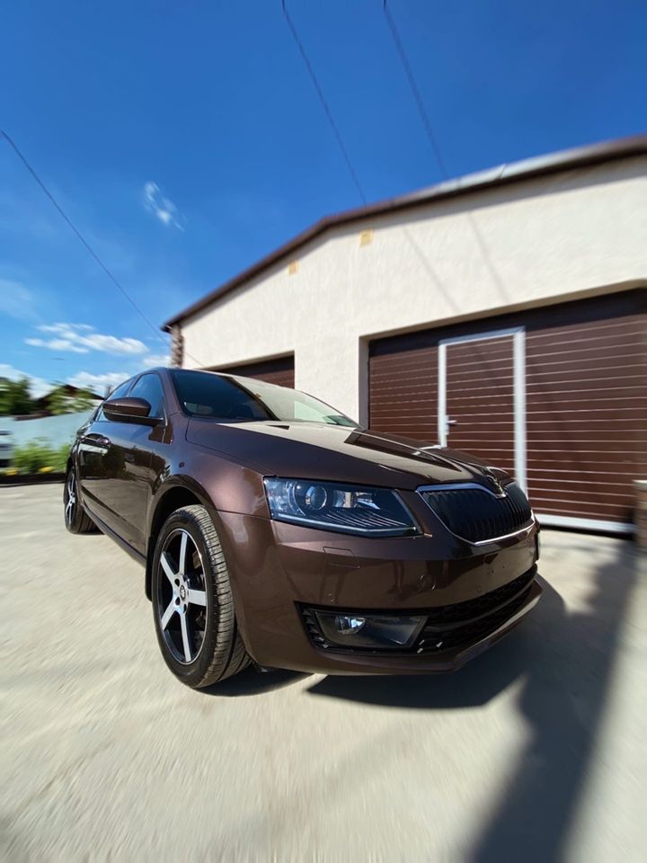 Skoda Octavia: фото владельца