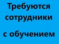 Фасовщик 2/2.Без опыта с обучением