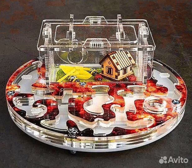 Муравьиная ферма Муравьи оптом и в розницу Корм