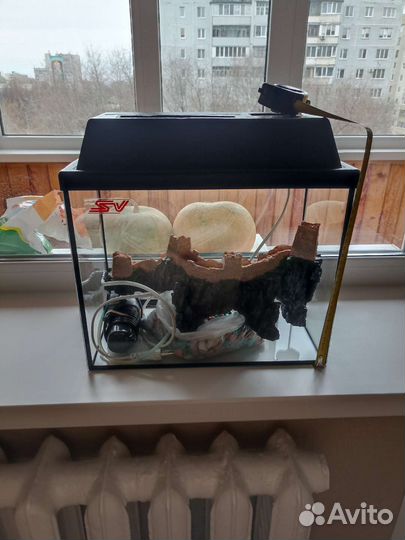 Аквариум