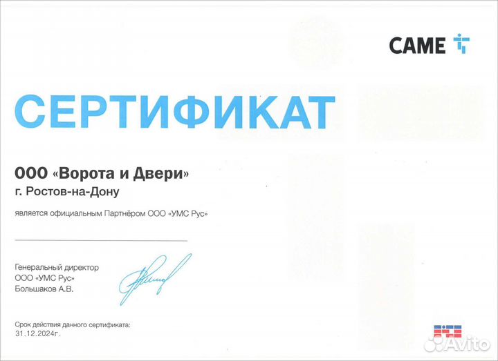 Came amico привод для распашных ворот (001A1824)