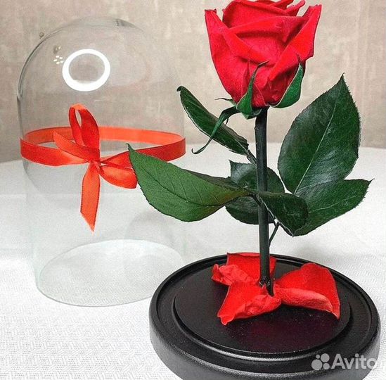 Роза в колбе