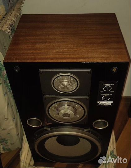 Колонки электроника 50 ас-061м