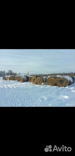 Сено в рулонах