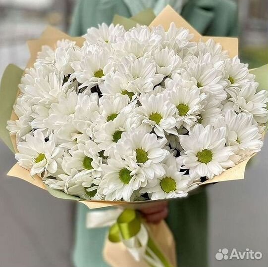 Хризантема. Букеты Цветы доставка