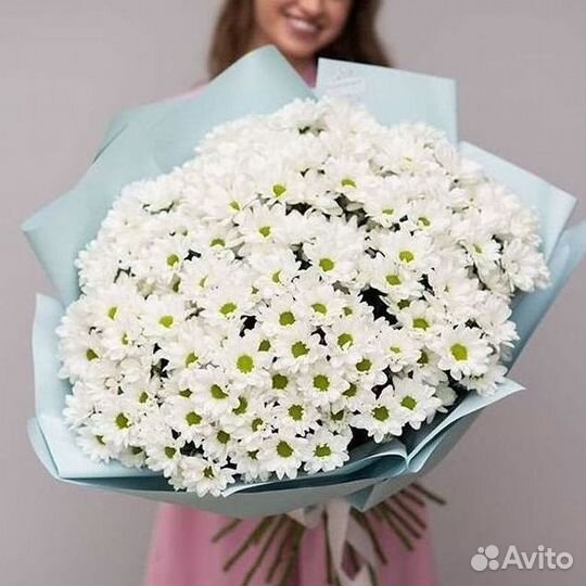 Хризантема Доставка цветов