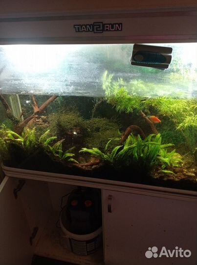 Аквариум