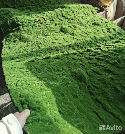 Искусственная трава покрытие