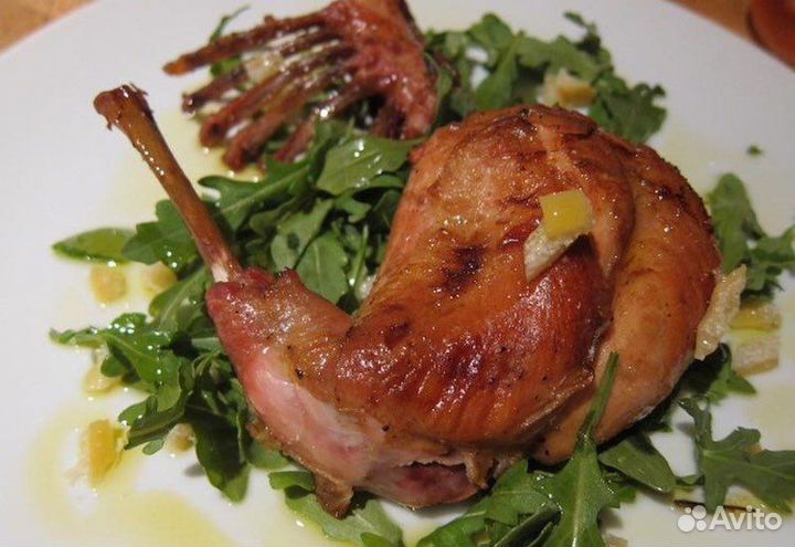 Домашнее мясо кролика