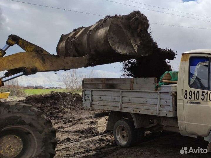 Навоз газелью