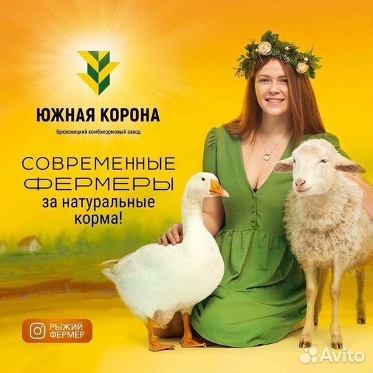 Южная корона комбикорм