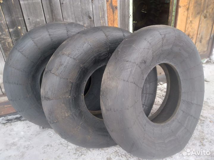 Ободрыши Я-307 лысые