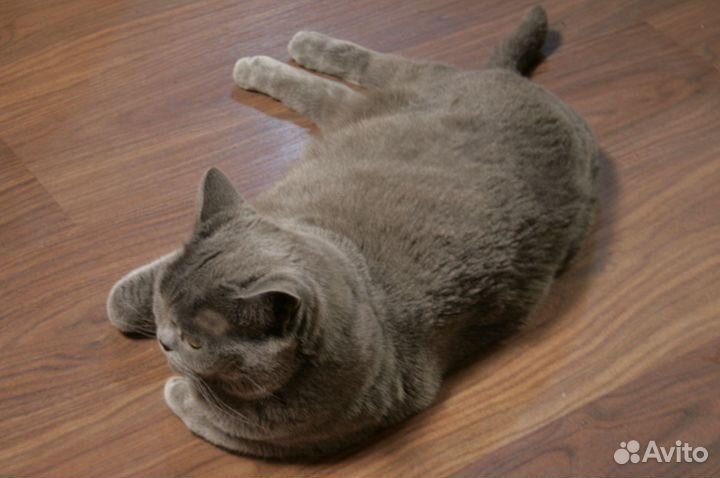 Canon 400d, зум-объектив 18-55 II