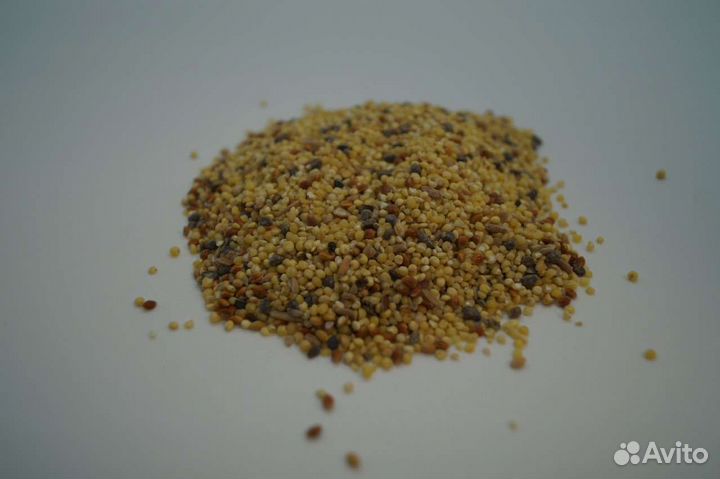 Комбикорм для кур,пшеница