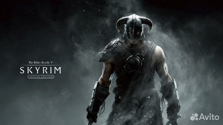 The Elder Scrolls 5 Skyrim Special Edition PS4 PS5