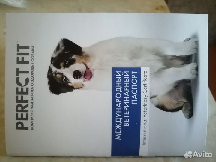 Ветеринарный паспорт